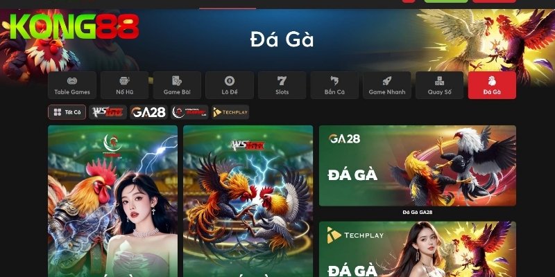 Đôi nét về sân chơi đá gà KUBET